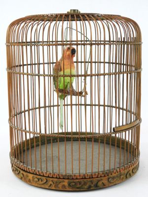 a bird that is sitting in a bird cage