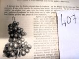 une image représentant un livre sur lequel figure une grappe de raisin