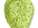 ornement représentant une feuille verte tissée sur fond blanc
