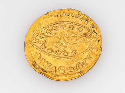 une image représentant une pièce d'or sur laquelle figure un lion