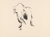 an ink drawing of a cow on a white background