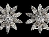 Photo 1/2 du lot