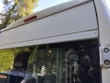 a white van that is parked next to a tree