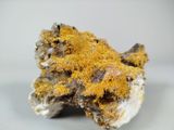 a close up of a piece of rock with moss growing on it