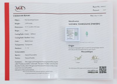 une photo d'un certificat sur lequel figure une image
