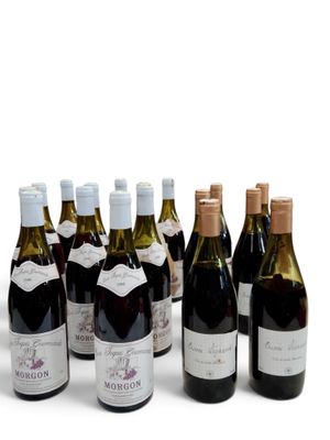 des bouteilles de vin sont alignées sur une surface blanche
