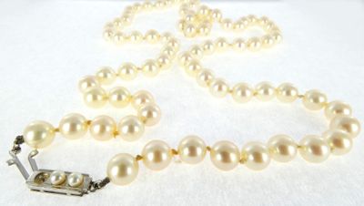 pearl necklace with silver clasp and clasp on a white background