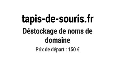 Nom de domaine tapis-de-souris.