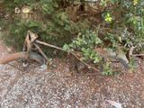 a bike that is sitting on the ground next to a tree