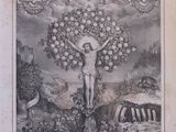 an old print of a man standing on a tree with fruit on it