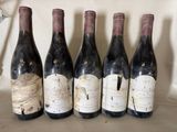 six bottles of wine are lined up on a shelf