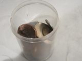 un gobelet en plastique contenant des pièces de monnaie posé sur une table