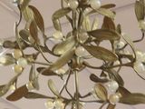 a chandelier hanging from the ceiling in a store