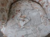 a chair that has been torn apart with a piece of fabric on it