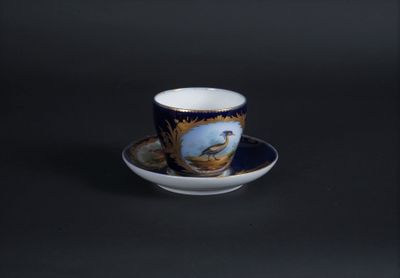 blue and white cup and saucer with a picture of a pheasant on it