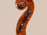 a close up of the back of a violin