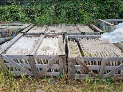 de nombreuses caisses en bois posées dans l'herbe
