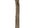 a tree trunk that has been carved into a sculpture