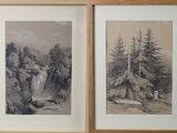deux photos encadrées représentant des arbres et une cascade dans une zone boisée