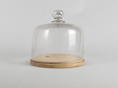 un dôme en verre transparent reposant sur un socle en bois, sur fond blanc