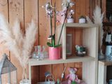 a shelf that has a bunch of flowers on it