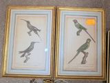 deux photos encadrées représentant des oiseaux, posées sur une table