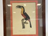 painting of a toucan sitting on top of a wooden easel