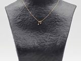 un mannequin noir portant un collier en or