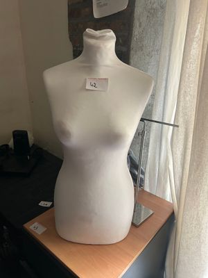 1 mannequin buste femme 10 portants métalliques sur roulette…