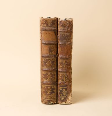 deux vieux livres posés l'un sur l'autre sur une surface blanche