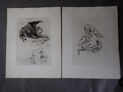 deux dessins en noir et blanc représentant un chien et un chat