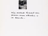 Photo 3/3 du lot