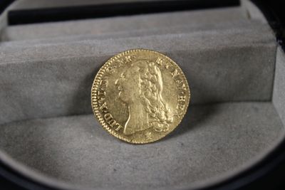 une pièce d'or posée dans une boîte sur fond noir