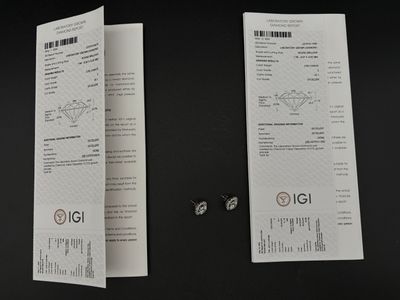 deux feuilles posées l'une à côté de l'autre sur une table