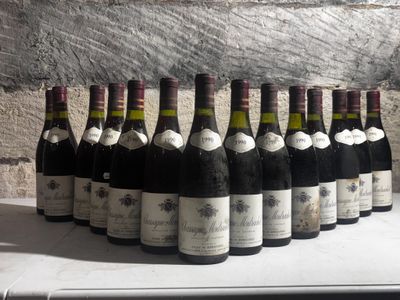 many bottles of wine lined up on a table