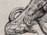 an image of a drawing of a horse ' s foot with a shoe on it