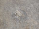 a close up of a piece of wood with a hole in it