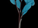 a blue flower that is on the stem of a plant