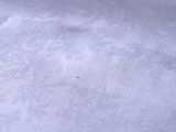a small bug that is sitting on a white cloth