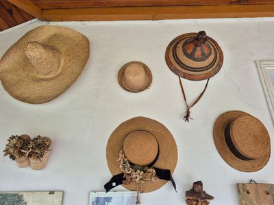 de nombreux chapeaux accrochés au mur de cette pièce