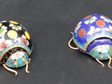 pair of cloisons of cloisons of a ladybug and a ladybug