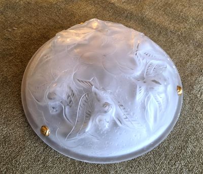 a white plate with a design on it sitting on a carpet