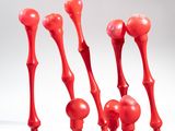 plusieurs morceaux de plastique rouge sont disposés en rangée sur une surface blanche