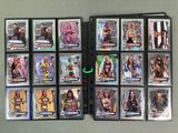wwe wrestling trading card set with a lot of different trading cards