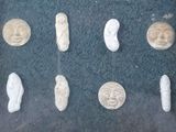 a lot of different types of stone in a display case