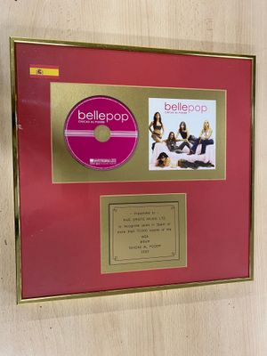 une photo encadrée représentant un CD et un CD accrochée au mur