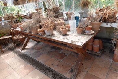une table sur laquelle sont posés de nombreux pots de fleurs