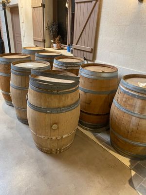 several wooden barrels are lined up in a row on the floor