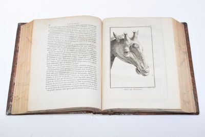 F. LEVAILLANT," Second Voyage dans l'intérieur de l'Afrique … - Photo 1