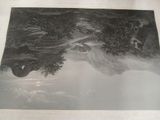a black and white photo of a giraffe in the water